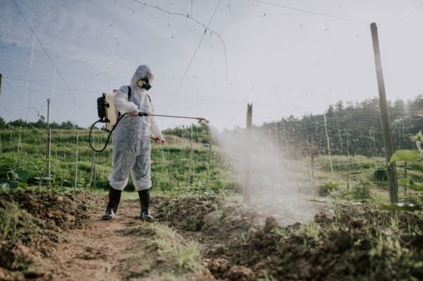 Best Termite Control Services  in Yacolt, WA