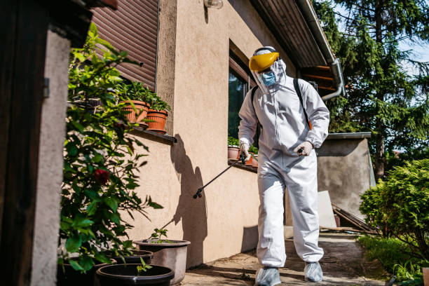 Wasp Removal Services in Yacolt, WA